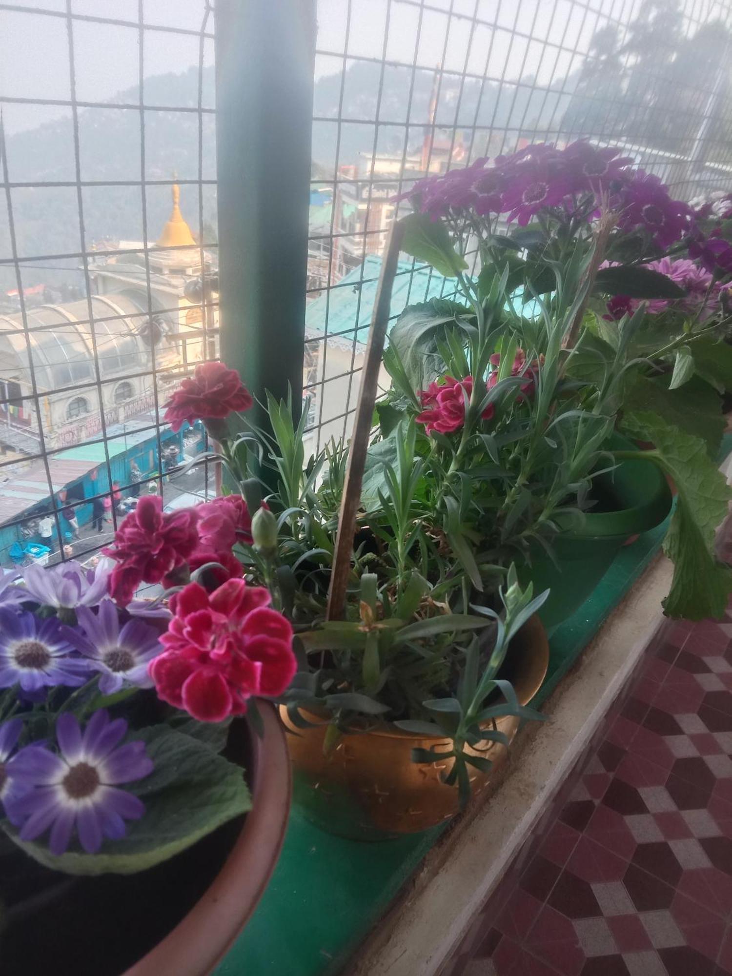 Beverly Hills Home Stay Дарджилинг Екстериор снимка